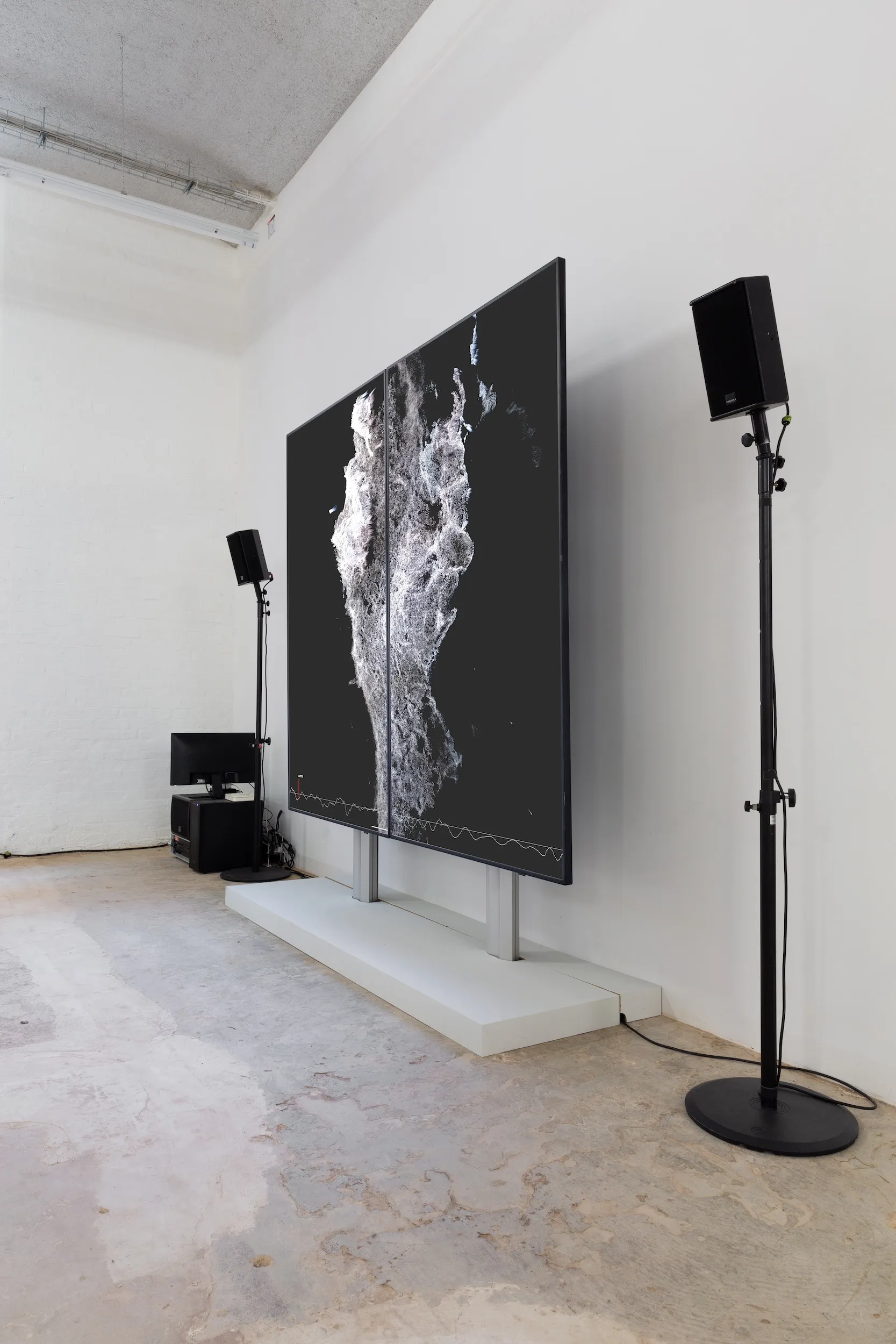 Treu. Pochen Biennale, 2020